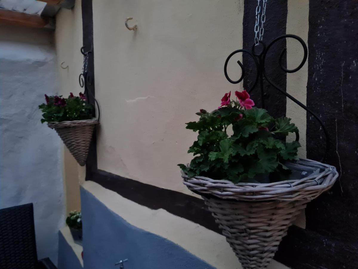 Ferienhaus Schatzliebe Quedlinburg Esterno foto